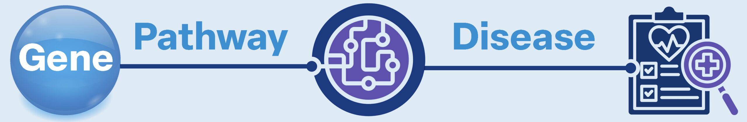 BiRAGAS-Gene-Pathway-Disease