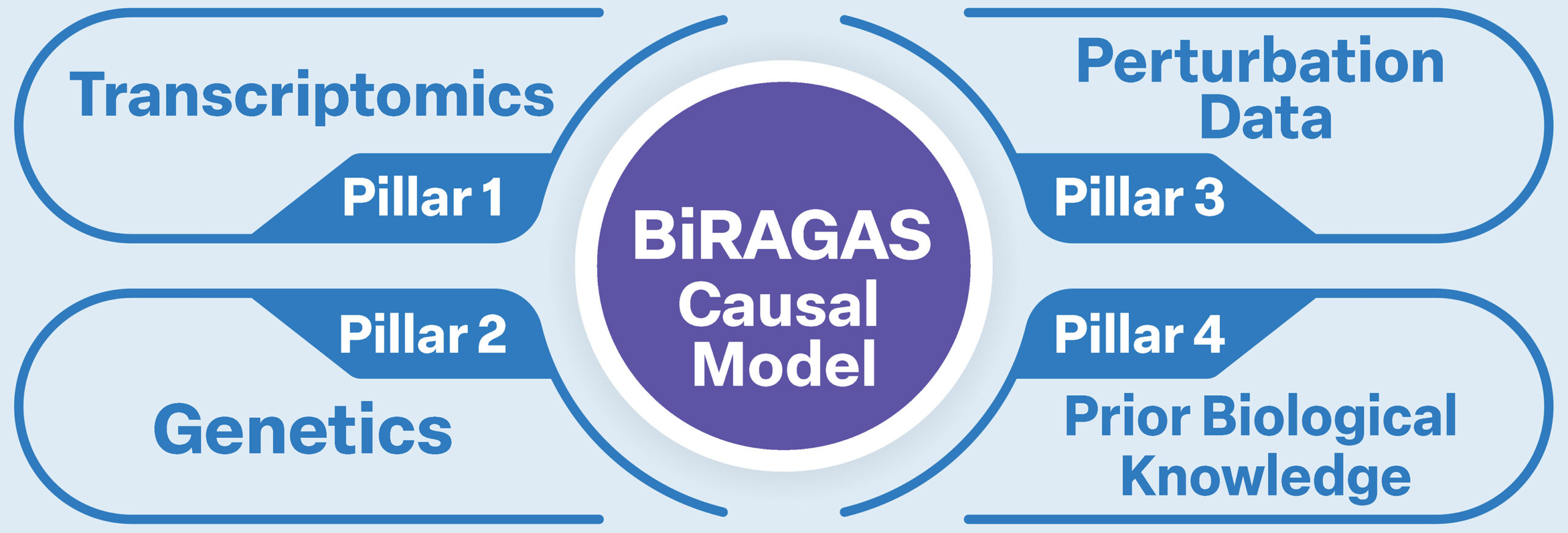 BiRAGAS-Pillars-ABS