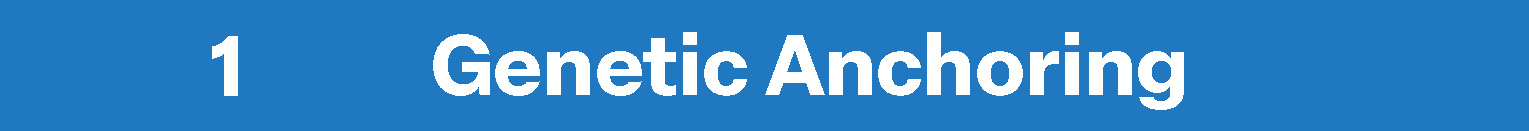 Names-Solutions-BiRAGAS-1