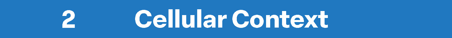 Names-Solutions-BiRAGAS-2